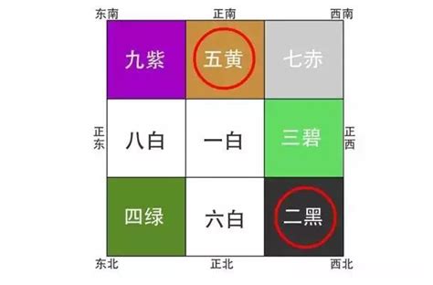 貓五行屬性|解密寵物風水之貓